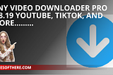 Any Video Downloader Pro 8.8.19 YouTube, TikTok, and More