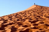 person atop a dune. tenacity