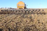 Soil-health incentive deadlines coming up