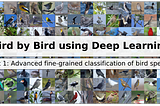 Bird by Bird using Deep Learning