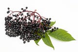 What You Need to Know About Black Elderberry