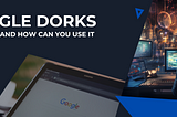 Google Dork — The best one and how do you find Bugs with it