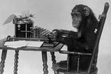 The Writer of Essays