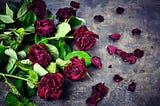 An image that contains dying roses and petals laid on the floorE.g.