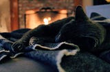 A black cat sleeping on a blue blanket. In the background, flames can be seen in an open fireplace.