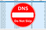 DNS Traffic: Do Not Skip