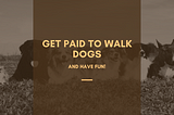 Get Paid to Walk Dogs …and have fun!