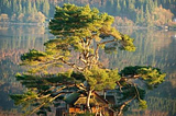 Tree House Lodge, Loch Goil, Scotland