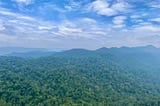 A walk to the heart of Sinharaja