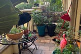 Sweeping My Neighbors’ Patios