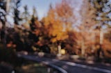 Blurry photo of a winding road, autumn trees, golden light