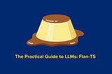 The Practical Guide to LLMs: Flan-T5