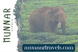 https://myrameshwaram.in/