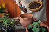 DIY potting soil is a cost-effective solution for container gardening and seed starting.