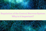 Regulation of the Central Nervous System: Why is it important?