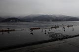 How We Visualized Life After Fukushima