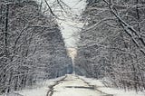 A road through the snow