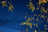 A Fine Night View on the First of October
