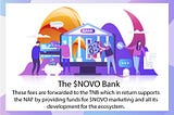 The $NOVO Tokenomics
