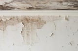 Ceiling Leakage Repair