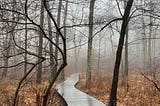 Walkway in the woods — A photo by Jonathan VanAntwerpen