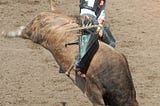 Hiring deserves more time than a rodeo bull ride