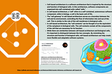 Cell-based Architecture and Biological Cells