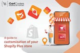 A guide to customization of your Shopify Plus store