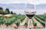Wine Basics
