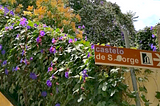 A public sign for direction to castelo de Sao Jorge