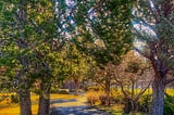 The Reflective Path to Clarity: 4 Life-Changing Stages from My Journey as a Nun