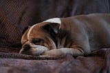 Why GraphQL when I can REST?