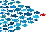 Tips for Newbie Team Leaders
