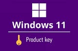 How to get a Windows 11 product key for free or Cheap