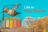 Life in Color Palette by Yesha Shah