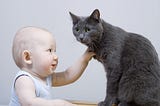 Your Cat’s Op-Ed On Your New Baby