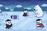 Bear University