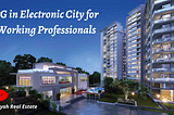 PG in Electronic City