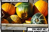 Picture of some pumpkins in a bin. The caption reads, “Writing is like farming, you must get your hands dirty.”