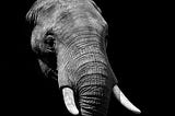 Elephant in the room: resolving conflicts constructively in a Team