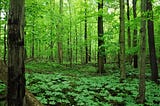 Impact Bonds and the Possibilities of Regenerative Finance