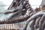 Can Dinosaurs Walk The Earth Again?