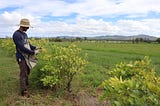 A Mini-Guide To Finding Farm work In Australia