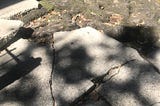 Cracked sidewalk pavement with tree roots growing under it.