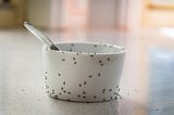 5 Natural Ways to Keep Ants Out of Your House