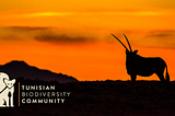 The Tunisian Biodiversity Community, Small Steps for Unity.