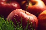 Apprentices to Ripening