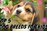 TOP 5 DOG BREEDS FOR KIDS
