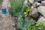 Gardening with Nature