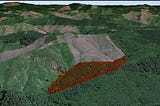 Comments on the “Jericho” Logging Clearcut
